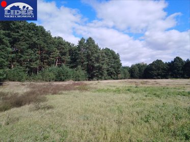 działka na sprzedaż 3076m2 działka Grubsko