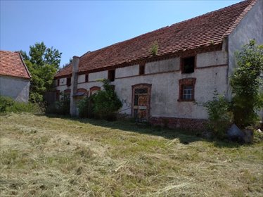 działka na sprzedaż 7500m2 działka Golanka Górna