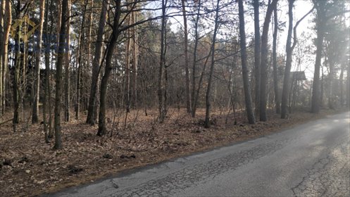Działka budowlana 4432 m² z dostępem do prądu i wody działka Kuznocin