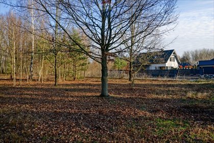 działka na sprzedaż 1004m2 działka Grądy, Topolowa