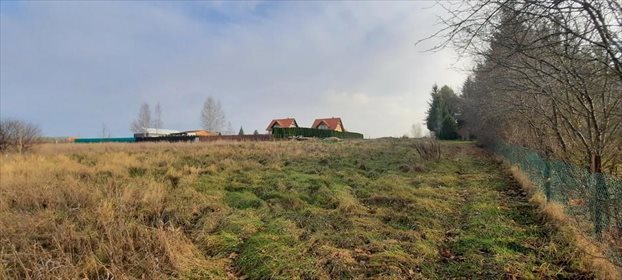 Działka budowlana na sprzedaż Jeziorowskie 993m2 Foto 6