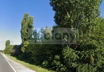 Na sprzedaż działka 1727 m² pod handel i usługi w Otrębusach działka Otrębusy