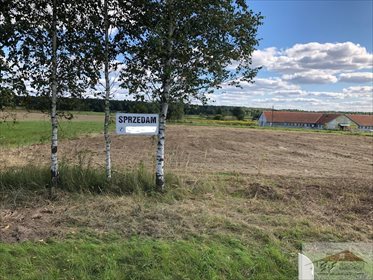 Działka rolna na sprzedaż Kowalówka 2 800m2 Foto 3