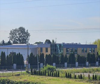Magazyn i biura 1122 m² w Szeligach - zapraszam lokal użytkowy Szeligi, Szeligi