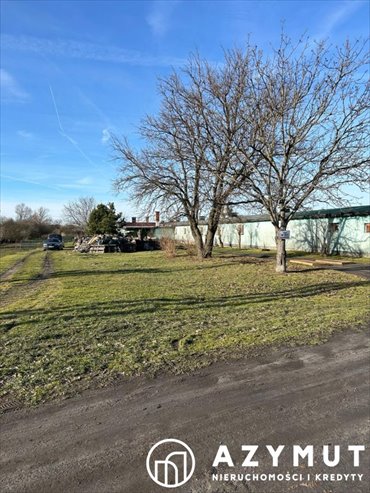lokal użytkowy na sprzedaż 8049m2 lokal użytkowy Prochowice