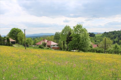 działka na sprzedaż 1556m2 działka Kobylec