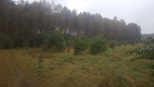 działka na sprzedaż 36500m2 działka Piotrowo, Piotrowska