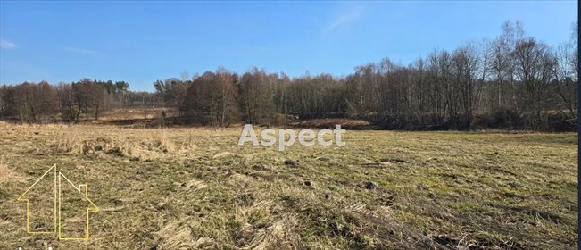 Działka 2762 m² z usługami w Rybniku (Kamień) działka Rybnik, Walecznych