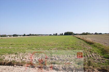 działka na sprzedaż 14600m2 działka Krasne