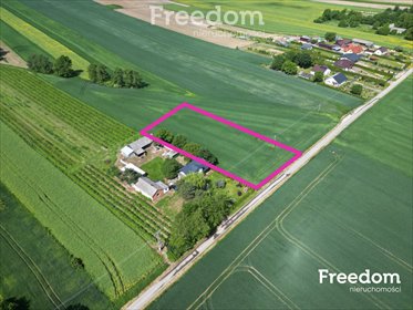 działka na sprzedaż 4200m2 działka Boży Dar