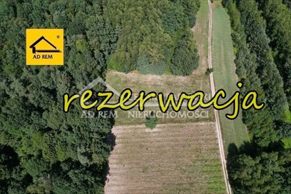 Działka rekreacyjna 3000 m² w Uściążu – spokój i natura działka Uściąż, Uściąż