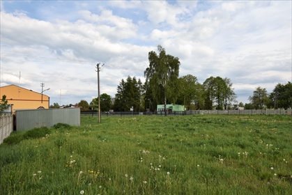 Działka budowlana na sprzedaż Tążewy 2 500m2 Foto 6