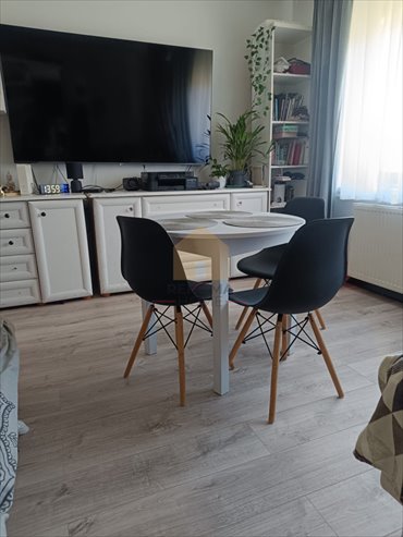 Przytulne 2-pokojowe mieszkanie na parterze w Legnicy mieszkanie Legnica