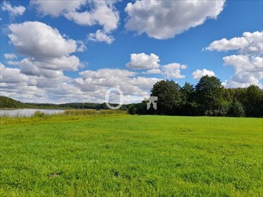 działka na sprzedaż 7100m2 działka Kruteczek