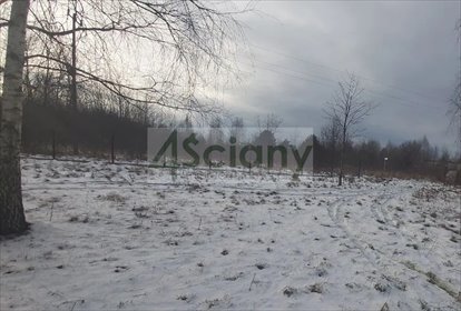 działka na sprzedaż 981m2 działka Rusiec