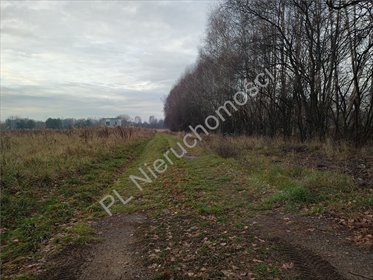 Działka budowlana 1121 m² w Starej Wsi - polecam działka Stara Wieś