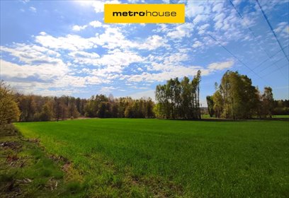 Duża działka inwestycyjna 5612 m² z szerokim potencjałem działka Rybnik, Gruntowa