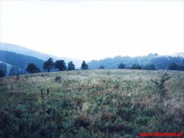 Działka budowlana na sprzedaż Bronowiec 23 000m2 Foto 3