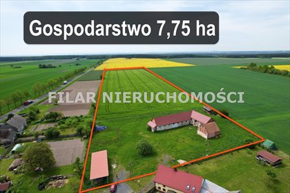 lokal użytkowy na sprzedaż 77500m2 lokal użytkowy Żabice