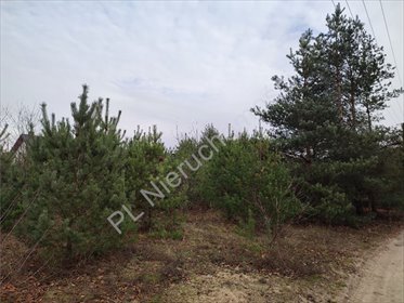 działka na sprzedaż 2056m2 działka Żółwin