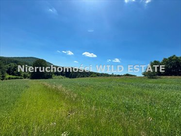 Działka z warunkami zabudowy, 0,68 ha, spokój i natura działka Sanok, Lalin