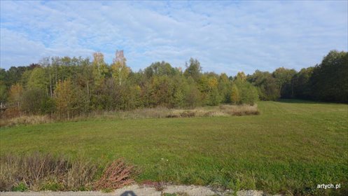Do sprzedania malownicza działka 7 867 m² pod dom blisko Zalewu Kupientyn działka Kupientyn