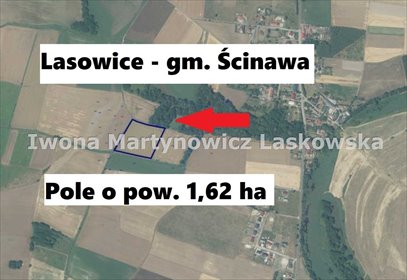 działka na sprzedaż 16200m2 działka Ścinawa