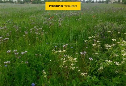 działka na sprzedaż 11500m2 działka Stefanów