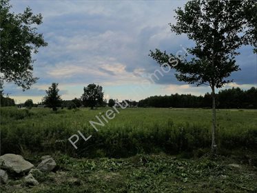 Działka inwestycyjna na sprzedaż Ciopan 16 200m2 Foto 3