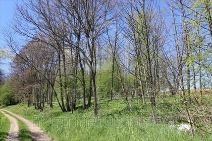 Działka inna na sprzedaż Brzoskwinia, Popówka, Brzoskwinia 8 200m2 Foto 1