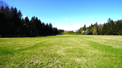 działka na sprzedaż 780m2 działka Klimkówka