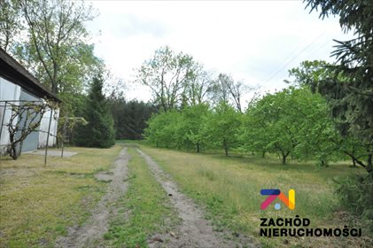 Lokal użytkowy na sprzedaż Jeninek 150m2 Foto 7