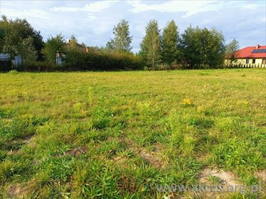 działka na sprzedaż 8410m2 działka Robercin