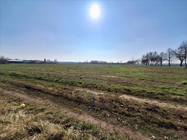 Teren inwestycyjny 45 000 m² przy S8, pod produkcję działka Niwna