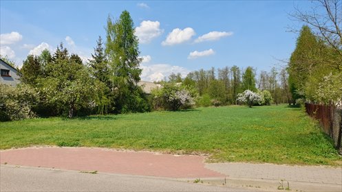 działka na sprzedaż 4100m2 działka Hołowienki, Hołowienki