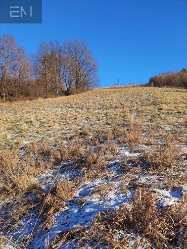 Działka budowlana na sprzedaż Żyznów 9 600m2 Foto 5