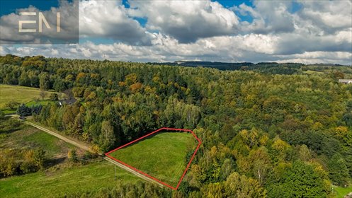 działka na sprzedaż 4000m2 działka Żyznów