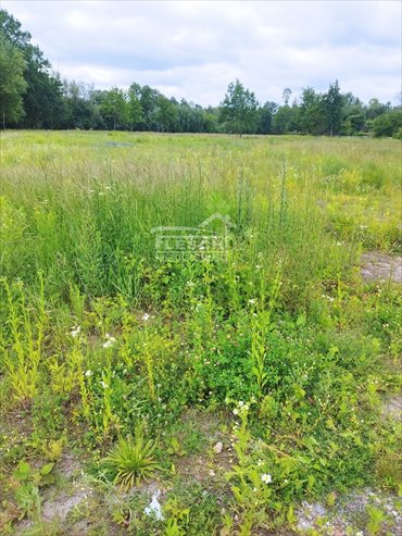 działka na sprzedaż 1000m2 działka Rusiec