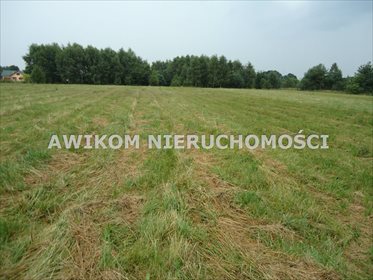 Działka budowlana 1358 m² w Ruscu - cicha okolica polecam działka Nadarzyn, Rusiec