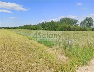 Działka 923 m² z mediami w Jachrance - idealna pod dom. działka Jachranka