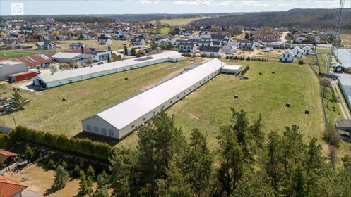Atrakcyjna nieruchomość inwestycyjna z halą 1250 m² polecam! lokal użytkowy Kiełpino, Długa