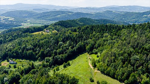 działka na sprzedaż 5600m2 działka Tropie