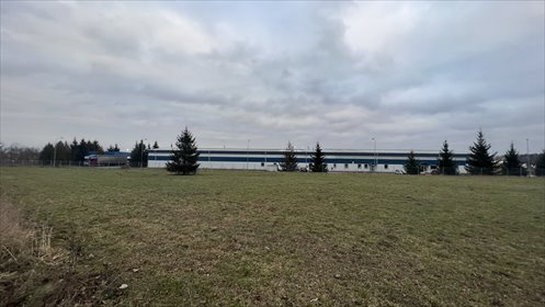 Działka komercyjna pod dzierżawę Grodzisk Wielkopolski 5 920m2 Foto 5