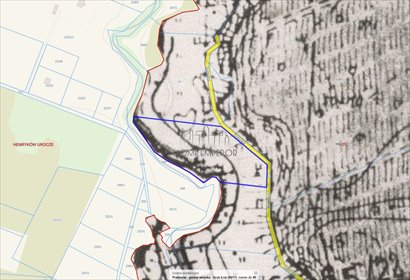 Działka rolna 13 800 m² z możliwością zabudowy działka Łoś, Sołecka