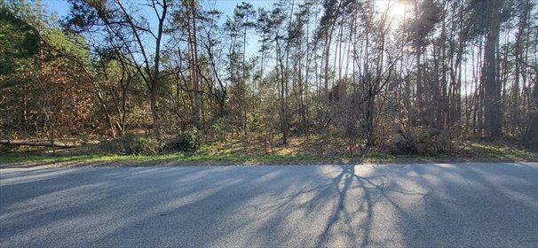 Działka 2,5 ha przy drodze asfaltowej - Grabno, gmina Sędziejowice działka Grabno