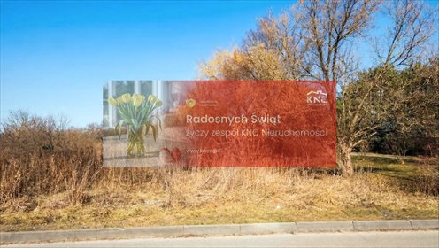 działka na sprzedaż 360m2 działka Turka