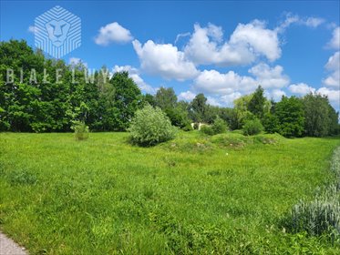 Sprzedam dużą działkę 6400 m² z mediami w Elżbietowie działka Elżbietów