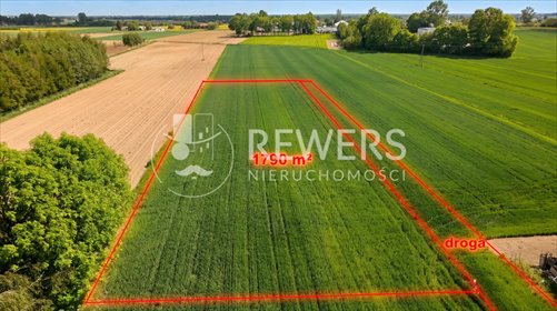 Działka 1790 m² z możliwością zabudowy i usług działka Zofiówka
