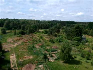 działka na sprzedaż 8800m2 działka Sieraków