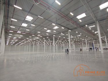 Wynajmę magazyn 2035 m² z biurami przy ul. Bardowskiego magazyn Warszawa, Targówek, Piotra Bardowskiego